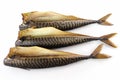 Three carcass of a gutted Smoked Mackerel, carcass without the head isolated on white