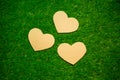 Three cardboard hearts on the grass