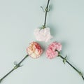 Three carnation flowers facing each other on light mint background. Simple square composition