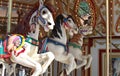 Three carousel horses