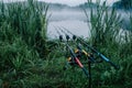 Three carp fishing rods in rod pod on background of lake. Royalty Free Stock Photo