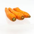 three carrot isolate on white background Royalty Free Stock Photo