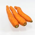 three carrot isolate on white background Royalty Free Stock Photo