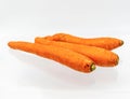 three carrot isolate on white background Royalty Free Stock Photo