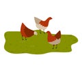 Three cartoon chickens on grass, simple kids illustration. Farm animals concept, cute poultry vector illustration