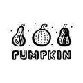 Three cartoon pumpkins, horizontal graphic poster, banner with lettering. Set of different stylized squashes with decorative