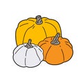 three cartoon pumpkins