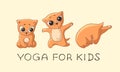 Three cartoon red yogi kittens doing the exercises.