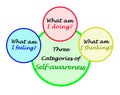 Categories of Self - awareness Royalty Free Stock Photo