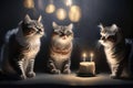 Three cats celebrate a birthday