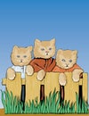 Three cats on fence
