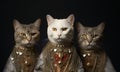 Three cats in gold and silver clothes on a black background close-up