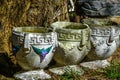 Three Ceramic Pots with Grapes on them