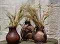 Three ceramic pots with spikelets, corn stand on the windowsill Royalty Free Stock Photo