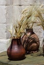 Three ceramic pots with spikelets, corn stand on the windowsill Royalty Free Stock Photo