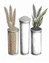 Three Cereal Grains in Metallic Containers with Black and White Line Art and Selective Coloring Royalty Free Stock Photo