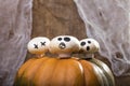 Three champignons on pumpkin top