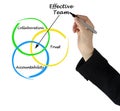 Characteristics of Effective Team