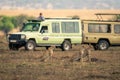 Three cheetahs sit on savannah by jeeps Royalty Free Stock Photo