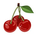 Three cherries. Royalty Free Stock Photo