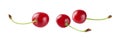 Three cherries isolated on white background Royalty Free Stock Photo