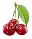 Three cherries isolated on white Royalty Free Stock Photo