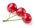 Three cherries isolated on white background Royalty Free Stock Photo
