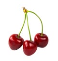 Three cherries isolated on a white background Royalty Free Stock Photo