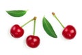 Three cherries with leaf closeup isolated on white background Royalty Free Stock Photo