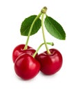 Three cherries with leaf closeup isolated on white background Royalty Free Stock Photo