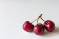 Three cherries on one stalk Royalty Free Stock Photo