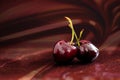 Three cherries on red background Royalty Free Stock Photo