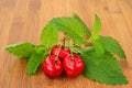 Three cherries Royalty Free Stock Photo