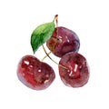 Three cherry berries on white background Royalty Free Stock Photo