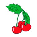 Three cherry colored. Sketch. Vector isolated image.