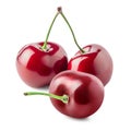 Cherry fruits with green stem isolated on white background. Clipping path Royalty Free Stock Photo
