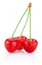 Three Cherry with stem on white background