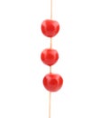 Three cherry tomatoes on stick. Royalty Free Stock Photo