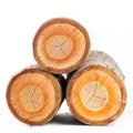 Three cherry tree round stub logs Royalty Free Stock Photo