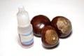 Three chestnuts isolated on a white background near the bottle. There is a place for text. Royalty Free Stock Photo