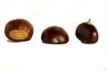 Three chestnuts on white background