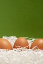 Three chicken brown eggs with white paper nest and green background for easter macro vertical Royalty Free Stock Photo