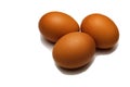 Three chicken eggs brown on white background Royalty Free Stock Photo