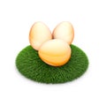 Three chicken eggs on green grass 3d render illustration