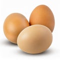 Three chicken eggs isolated on a white background. Royalty Free Stock Photo