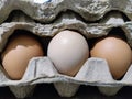 three chicken eggs in the middle of a pile of egg boards Royalty Free Stock Photo