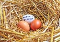 Three chicken eggs natural product