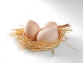 Three chicken eggs in a nest of straw close-up on a white background Royalty Free Stock Photo