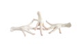 Three of chicken feet Isolated on the white Royalty Free Stock Photo