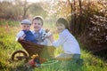 Three children, boy brothers in park, playing with little bunnies Royalty Free Stock Photo